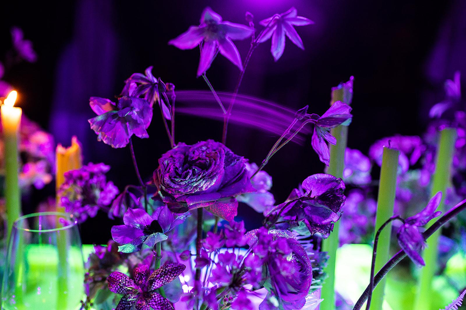 flori neon
